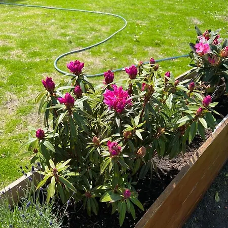 Seeblick Am Mellensee