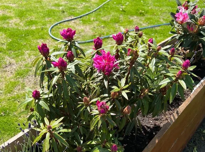 Seeblick Am Mellensee